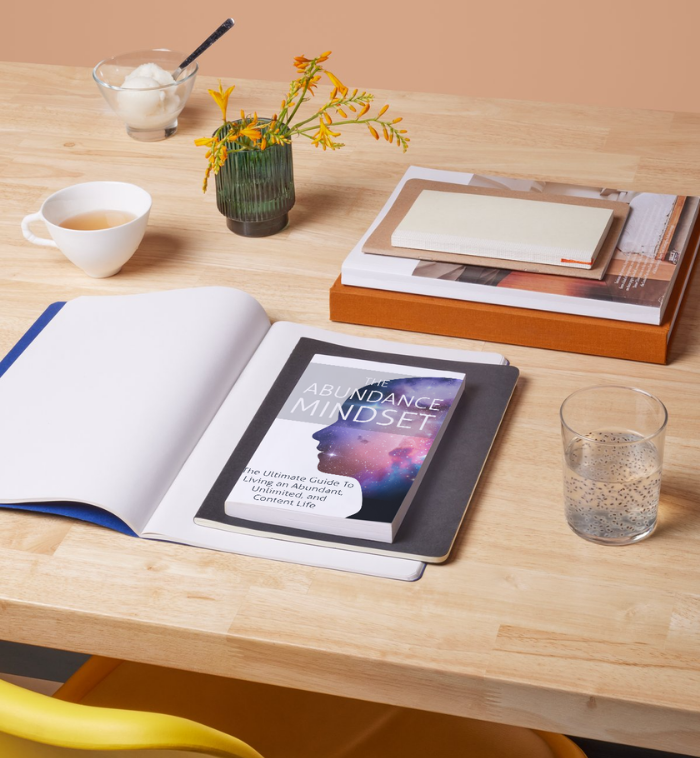 The Abundance Mindset Ebook