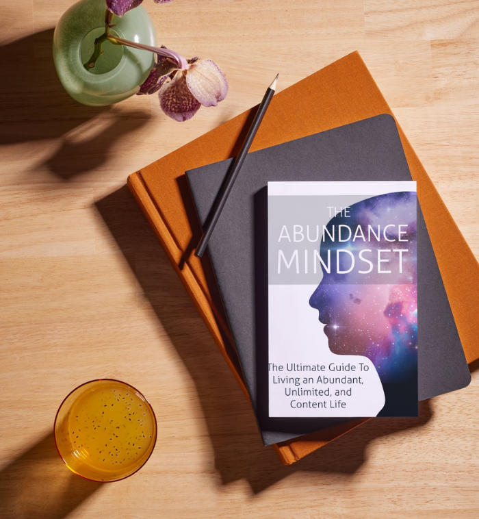 The Abundance Mindset Ebook